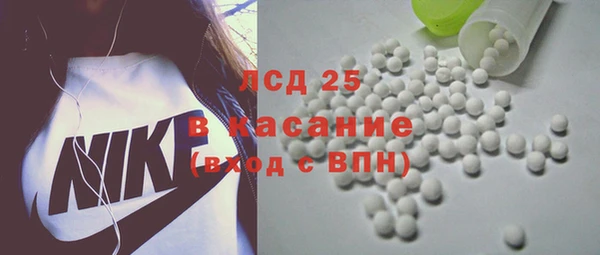 стаф Аркадак