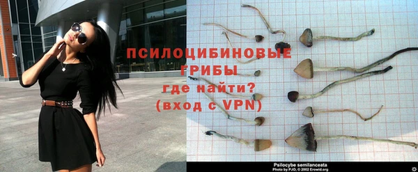 дживик Арсеньев