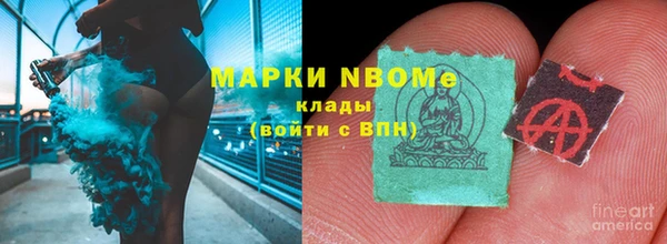 стаф Аркадак