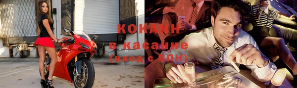 стаф Аркадак