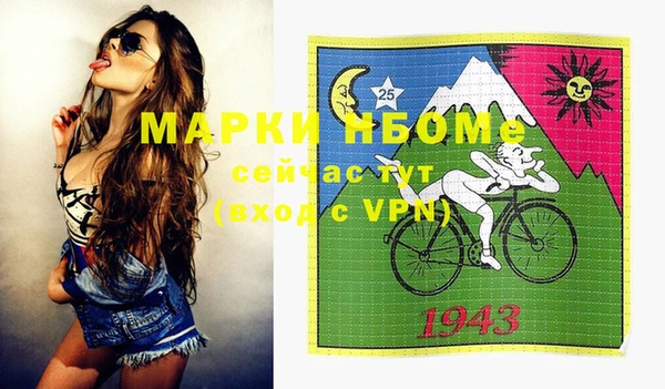 стаф Аркадак
