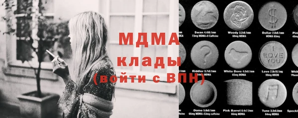 стаф Аркадак