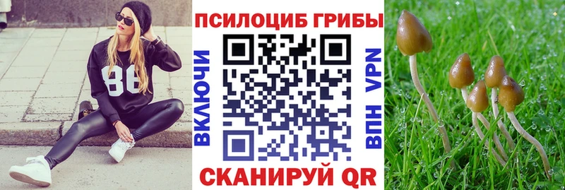 купить  сайты  Терек  Галлюциногенные грибы Magic Shrooms 