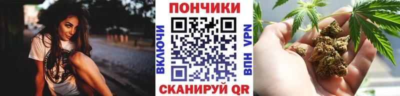 Конопля сатива  блэк спрут зеркало  Терек 